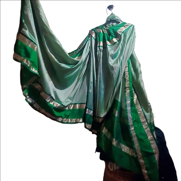 Traditional SAREE Pre - Pleated Light Green, Vibrant Emerald Green & Gold Border - Picture 3 of 17